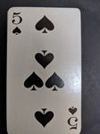 PXL_20201021_123212256.jpg