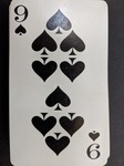 PXL_20201025_120537007.jpg