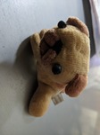 PXL_20210119_103613696.jpg